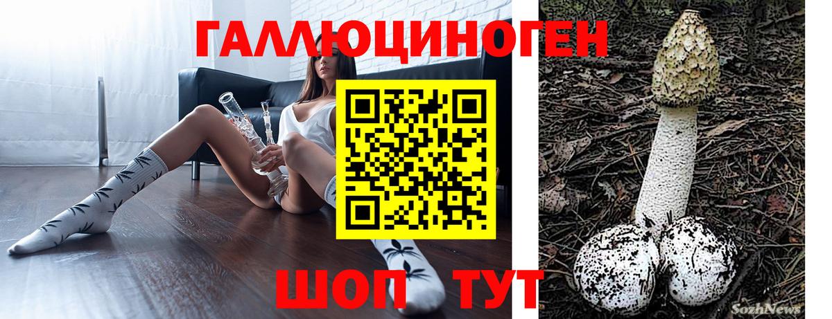 Псилоцибиновые грибы ЛСД Аргун