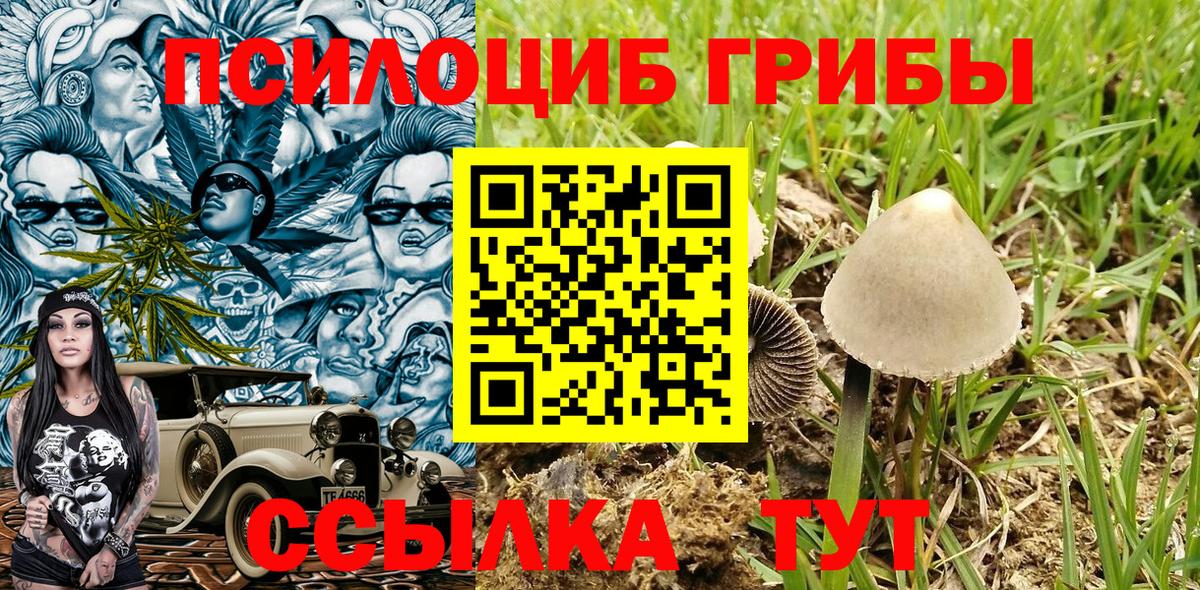 Галлюциногенные грибы Cubensis  Вход с VPN  Аргун  Псилоцибиновые грибы мухоморы 